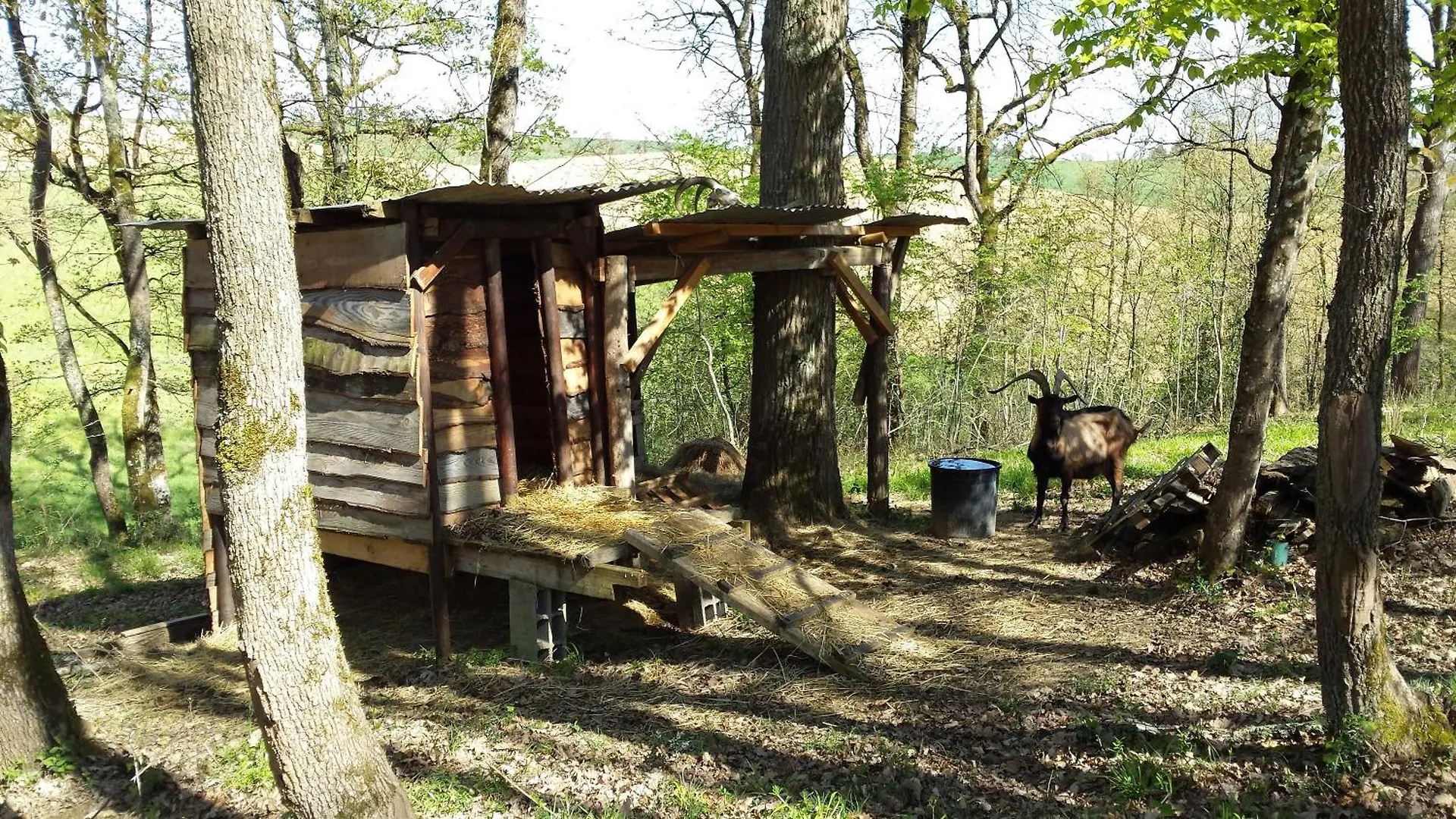 Appartement Type F4 Maurens